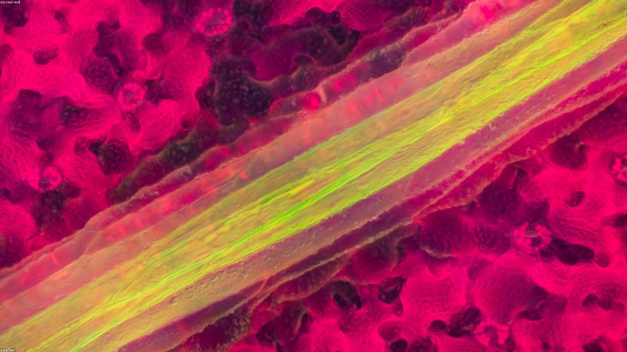 Supporting image for Investors are watching mid-sized manufacturers as export demand starts to recover