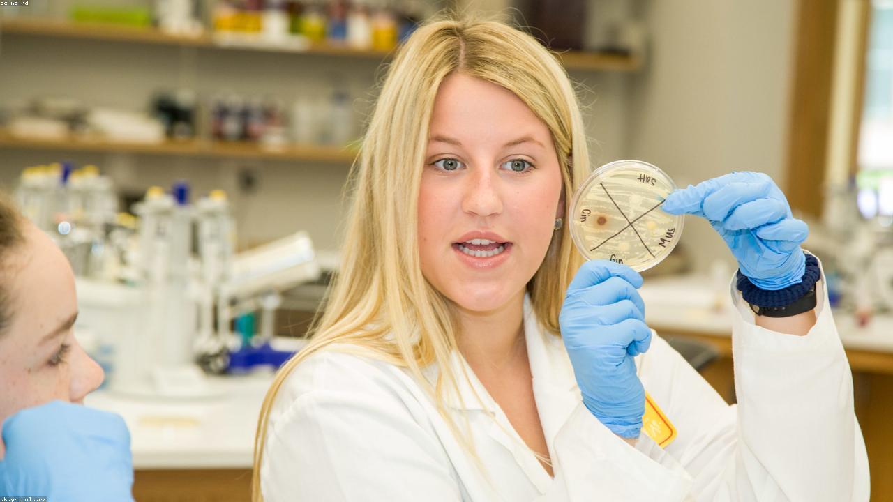 Public hospitals launch a rapid response plan ahead of the monsoon illness spike